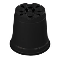 22070160_20250811110855433