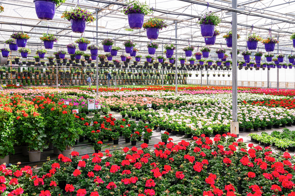 Tuinbouw