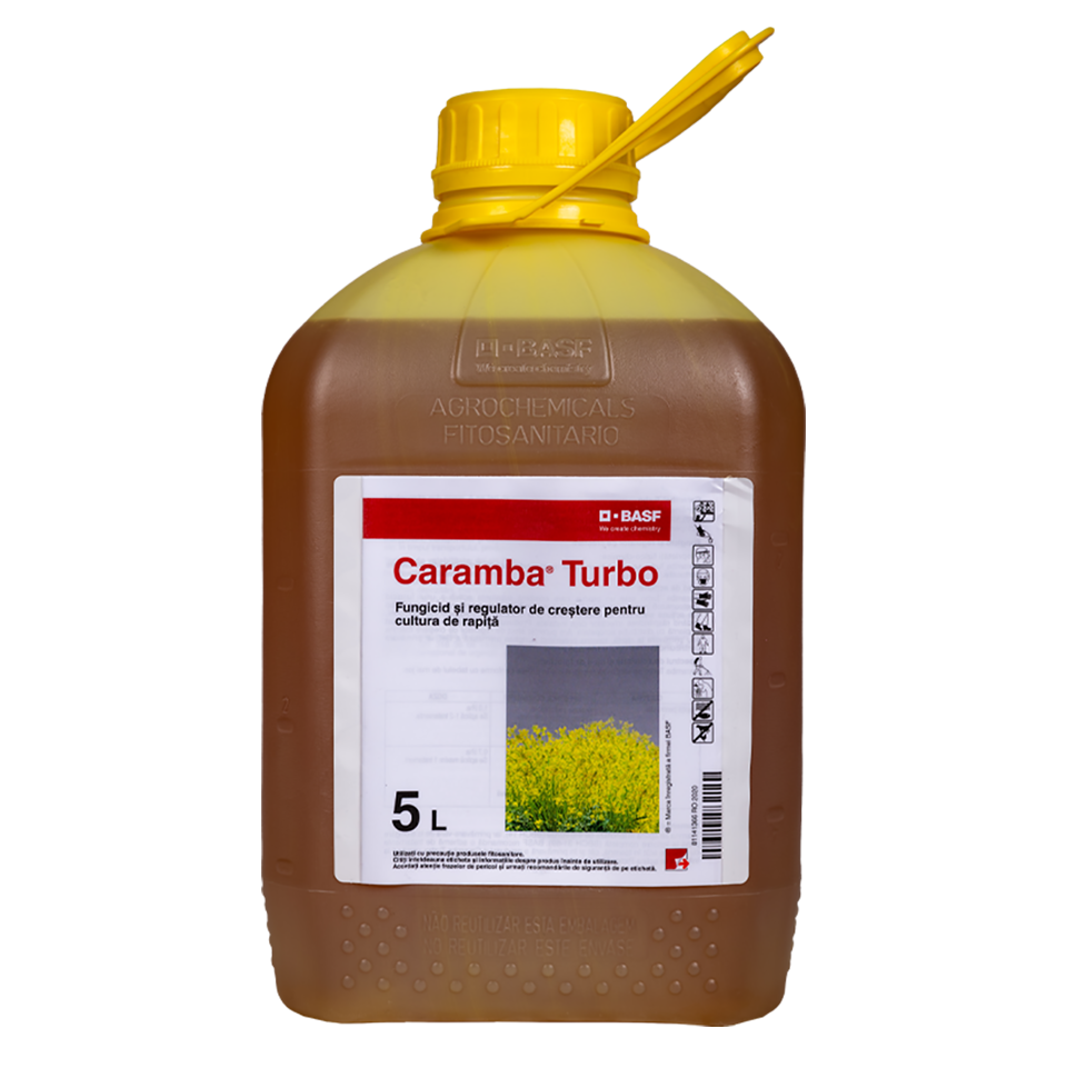 10073250_20230309142009062