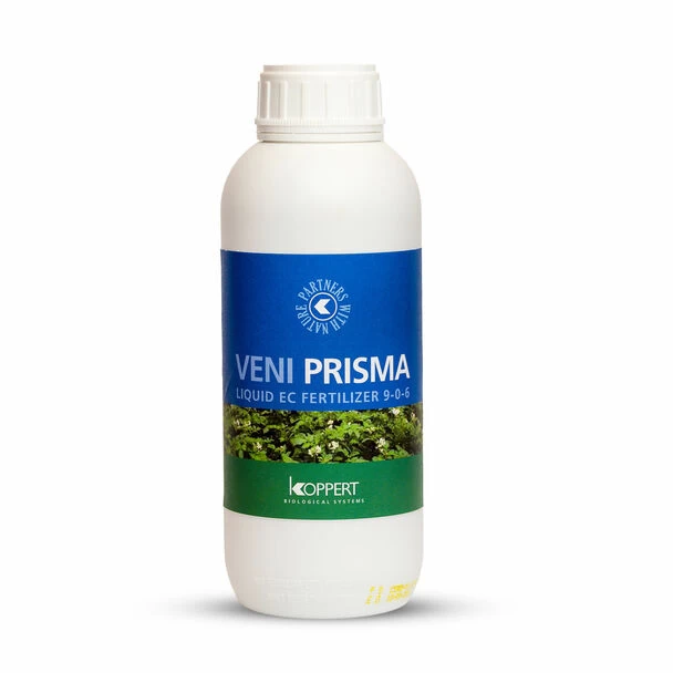 Veni Prisma