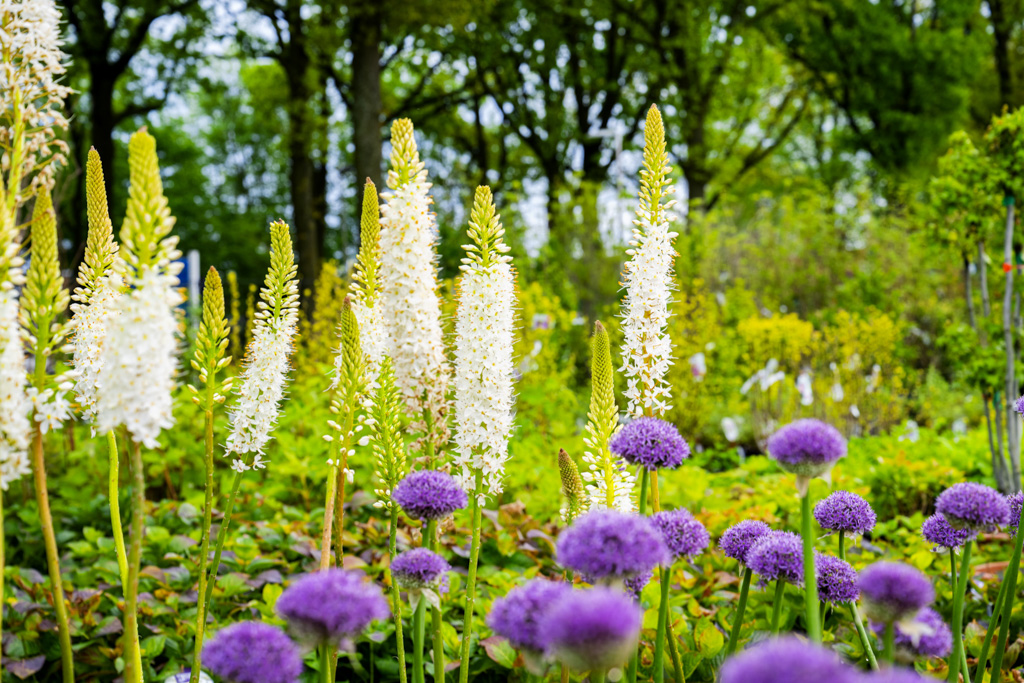 Tuinbenodigdheden