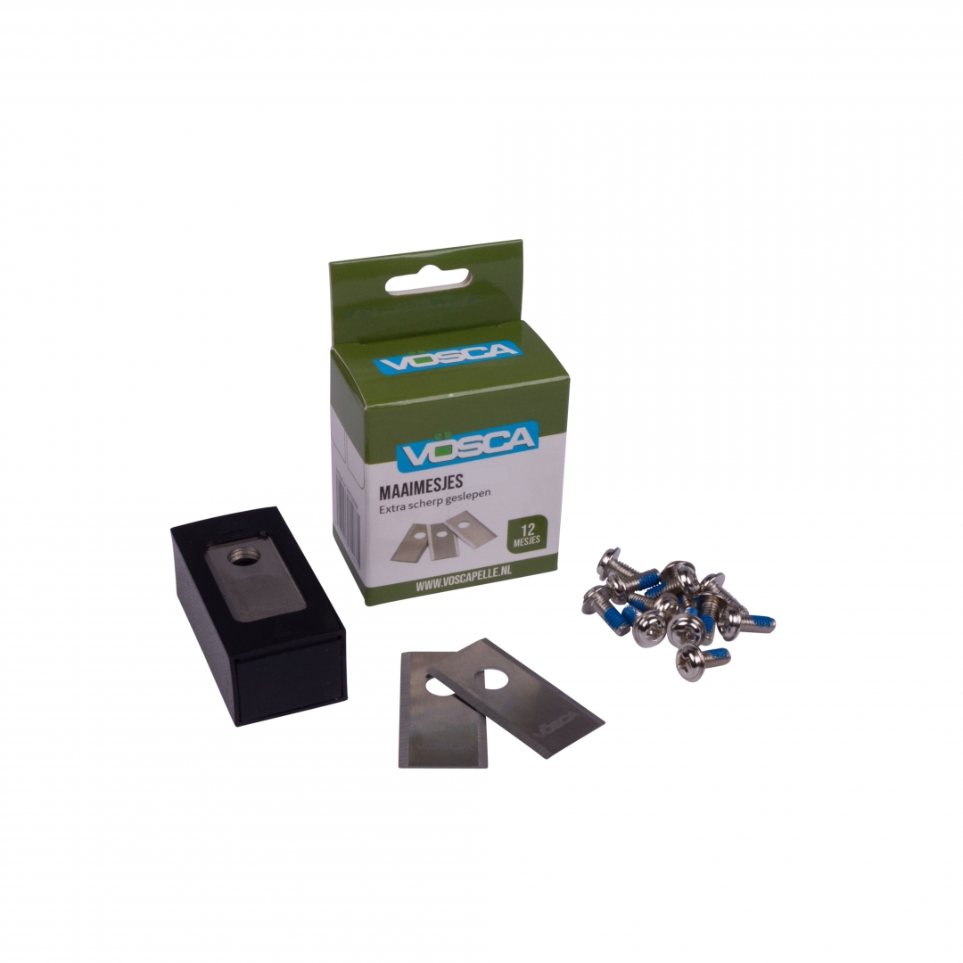 50010569_20250625153206574