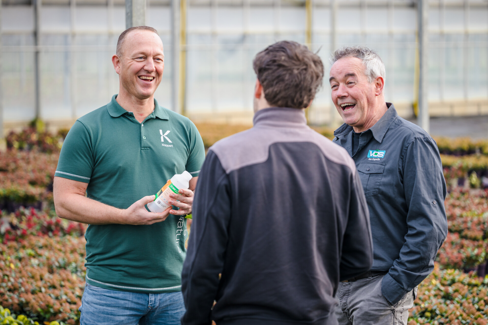 Chrysopa en Mycotal blijken een effectieve combinatie