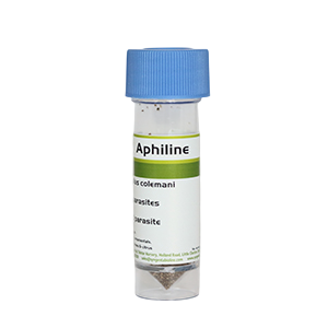 Aphiline Mix