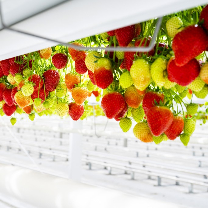 75933_01_243_20240606100958155