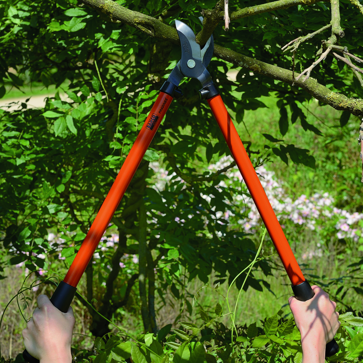 Bahco takkenscharen