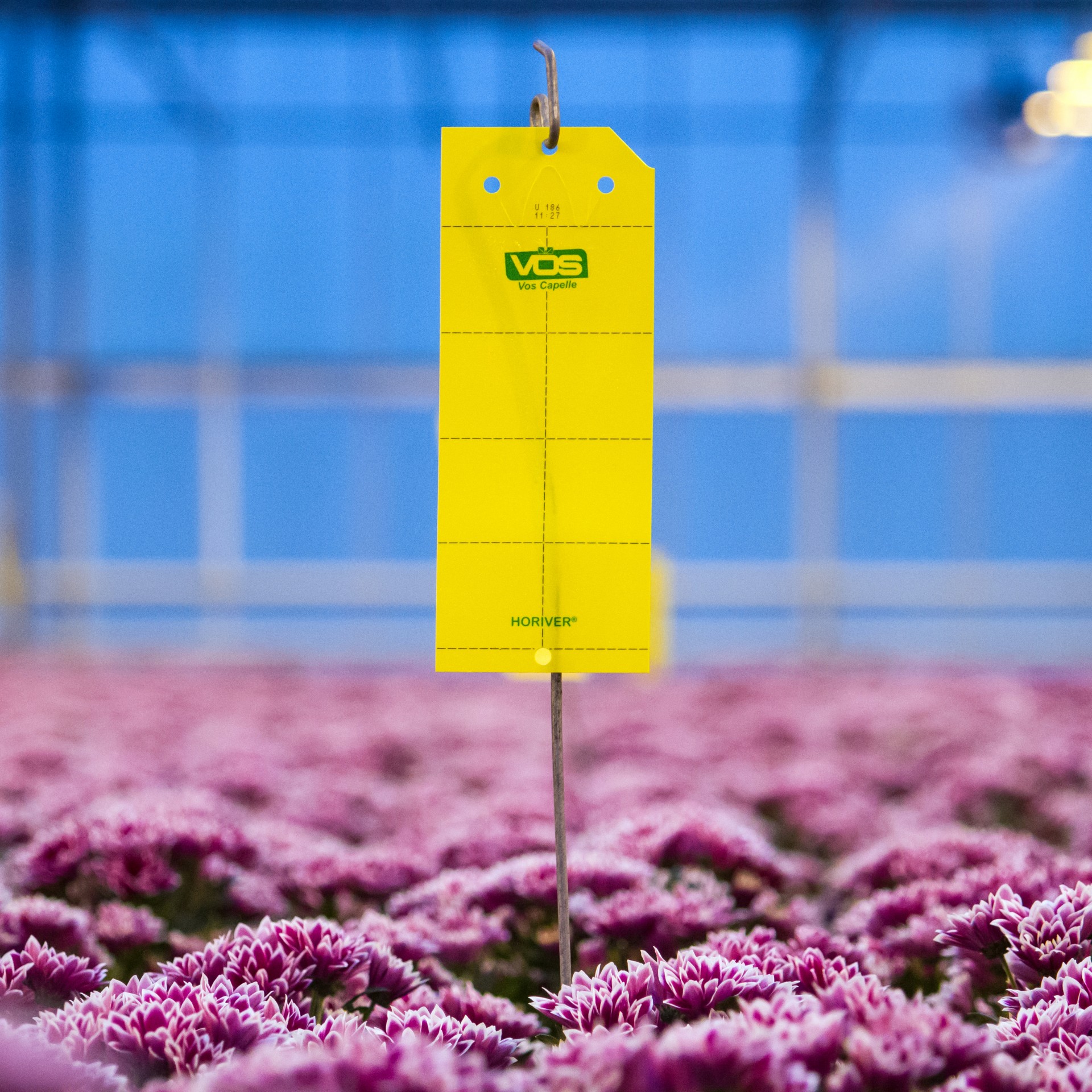 Gewasbescherming →