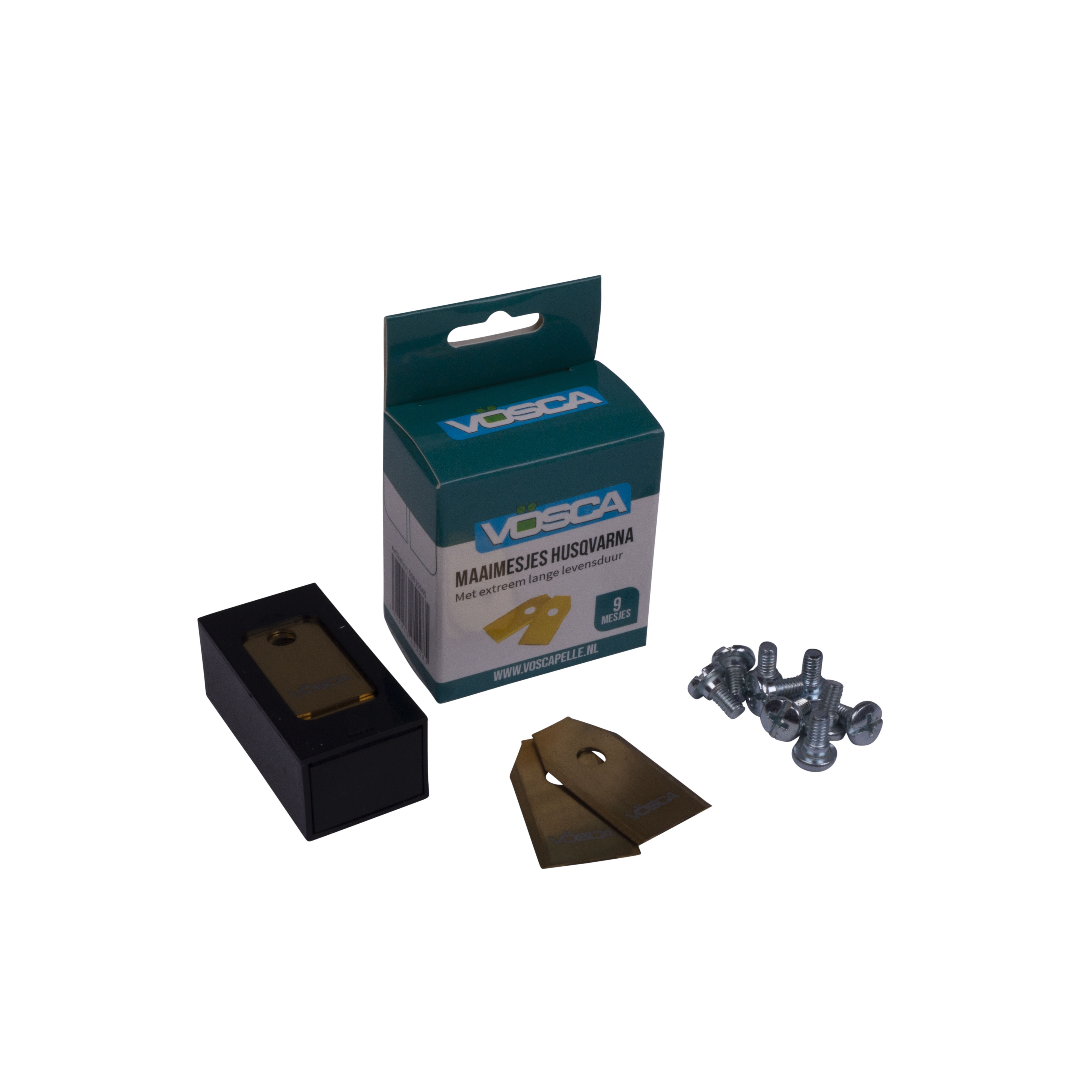 50010565_20240118102010987