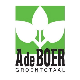 de-boer_20260910093944346