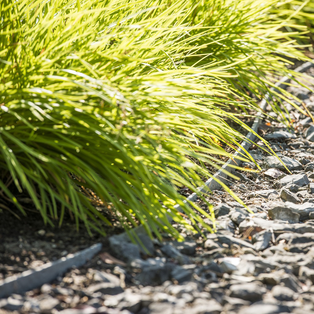 Ecopic piketpaal kunststof