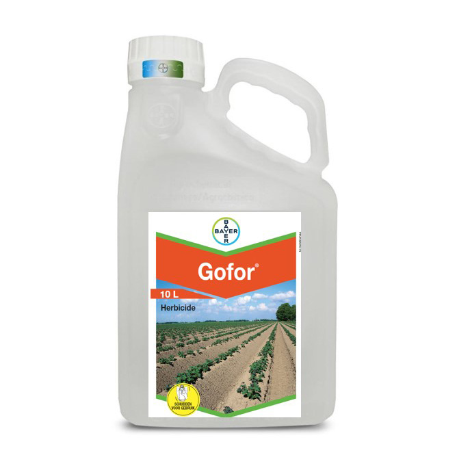 10163100_20220506172003271