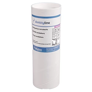 Amblyline
