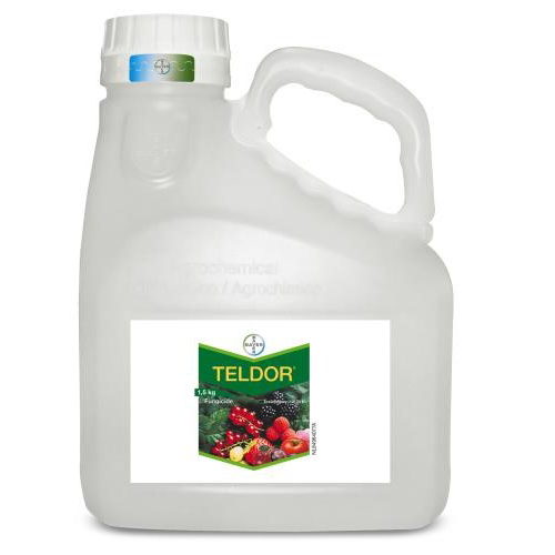 Teldor