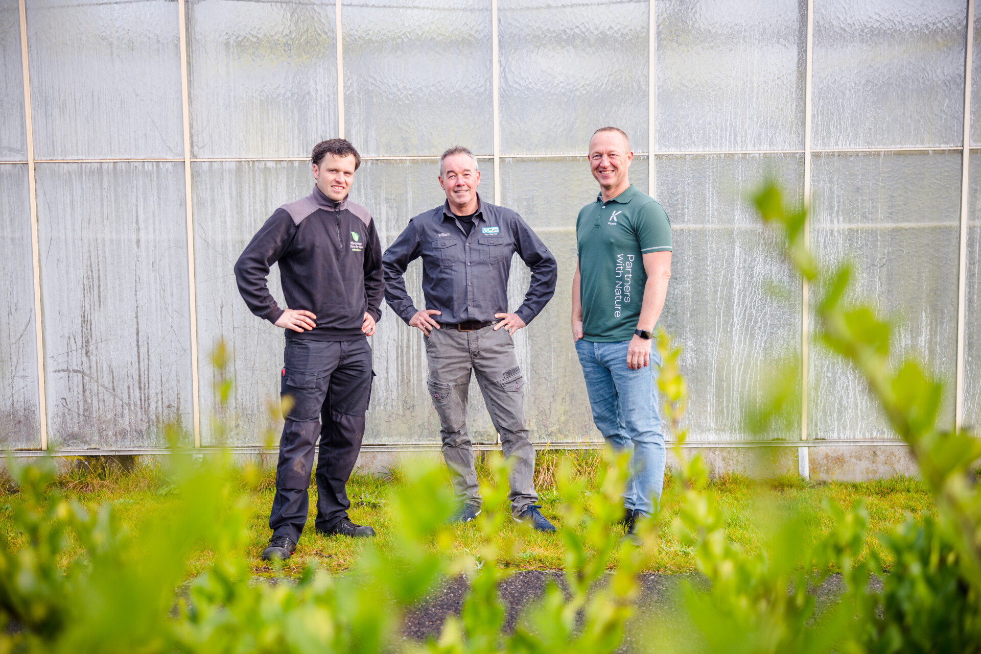 Chrysopa en Mycotal blijken een effectieve combinatie