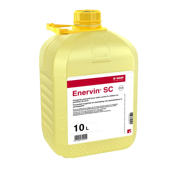 Evervin SC