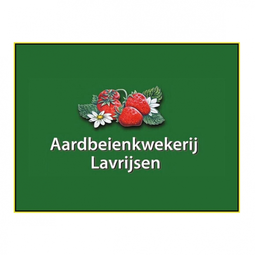 aardbeienkwekerij-lavrijsen_20250828094205623