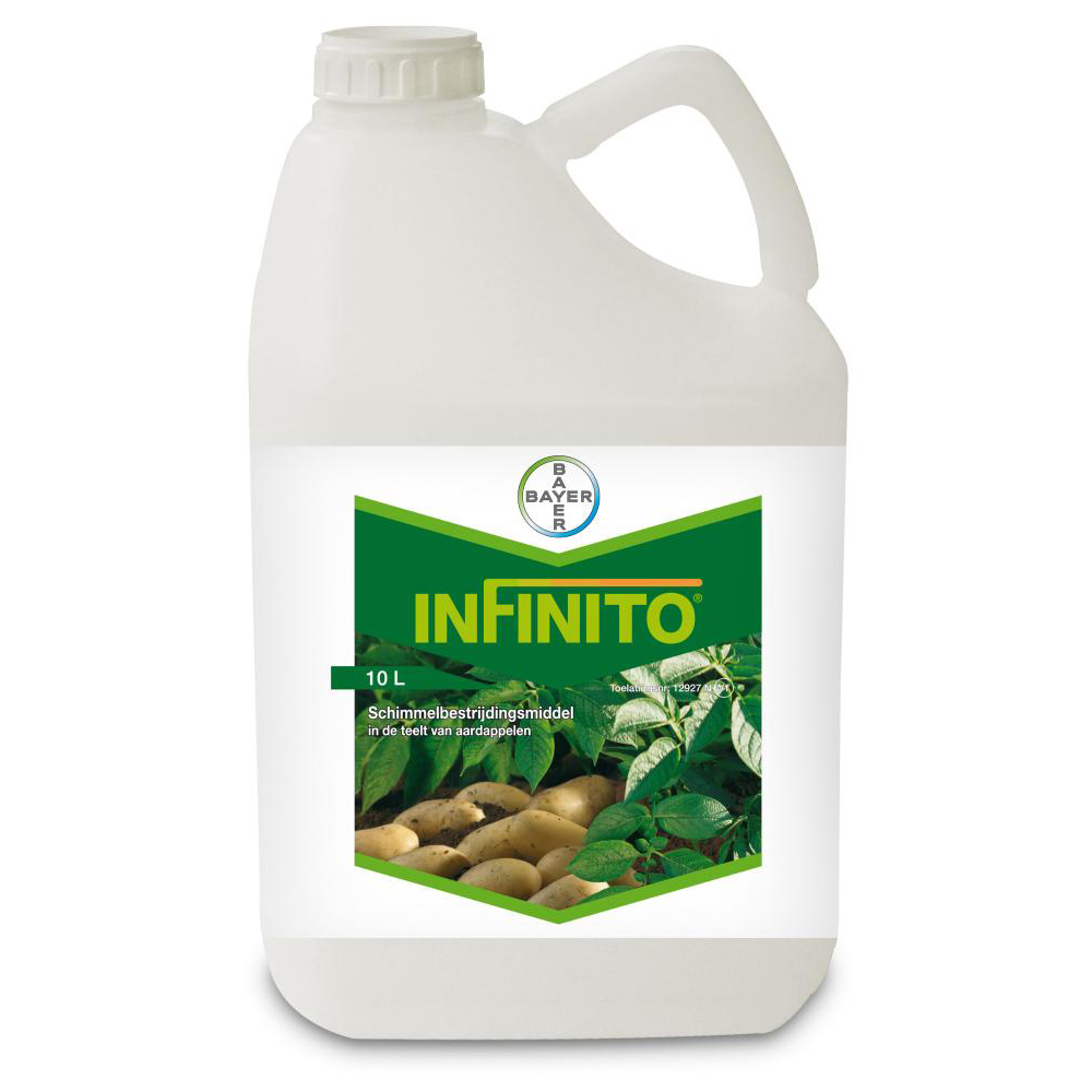 Infinito