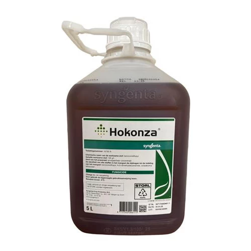 Hokonza