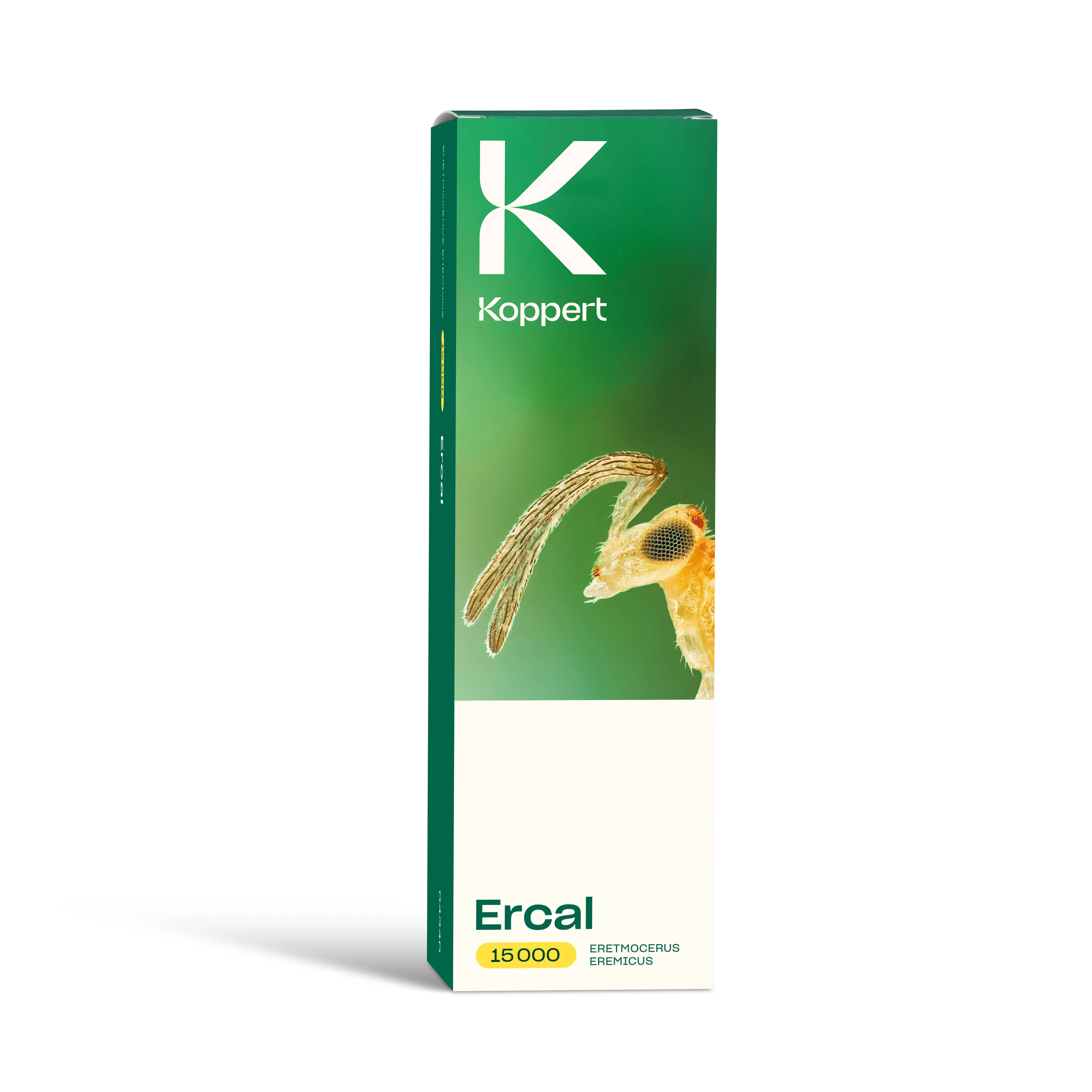 Ercal