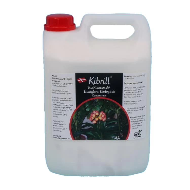 Kibrill Bladglans