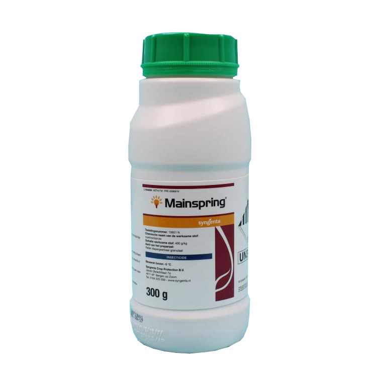 Mainspring