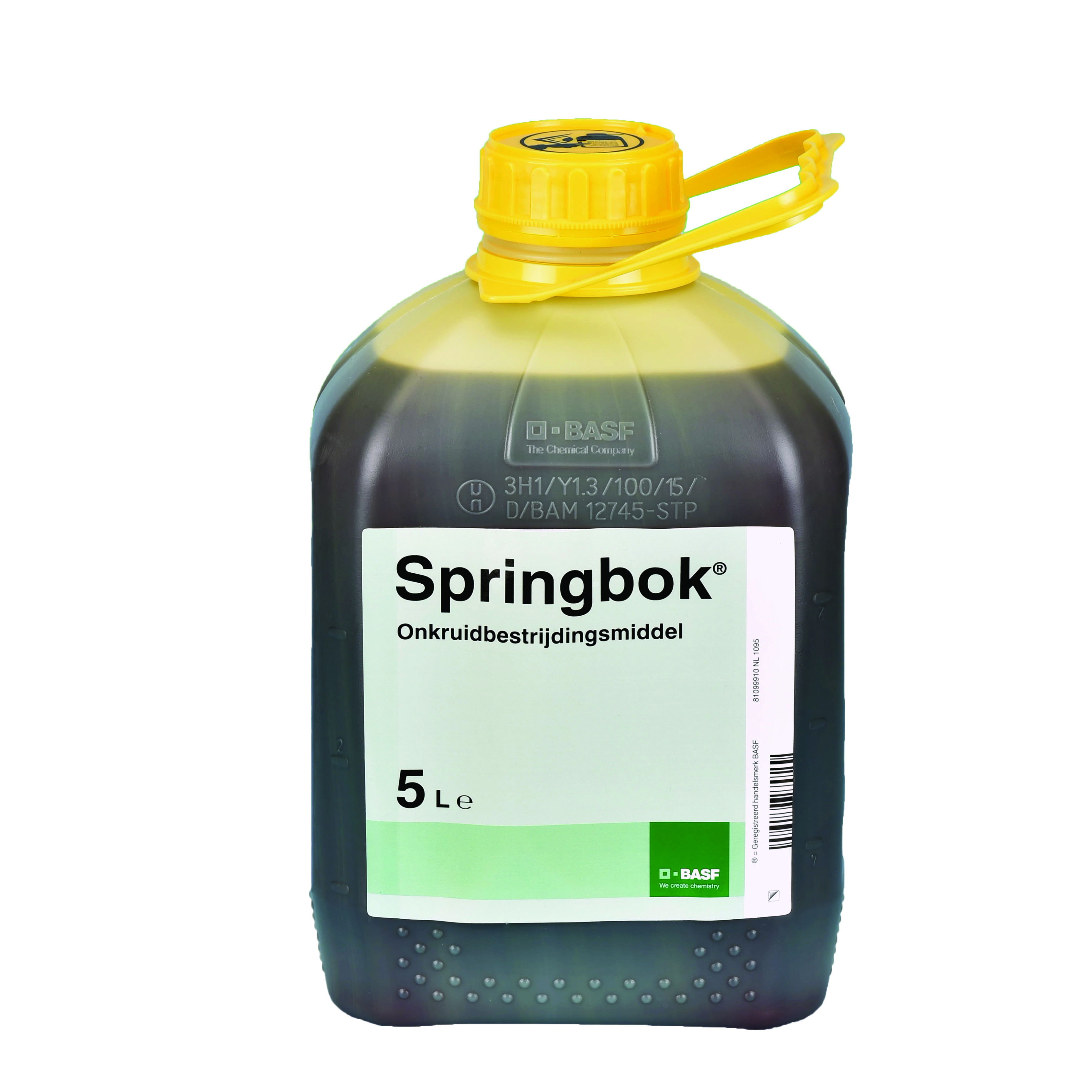 Springbok