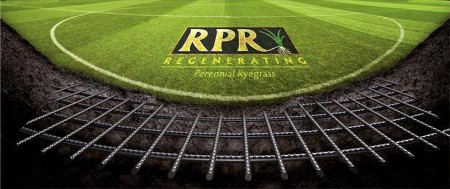 Barenbrug RPR Sport