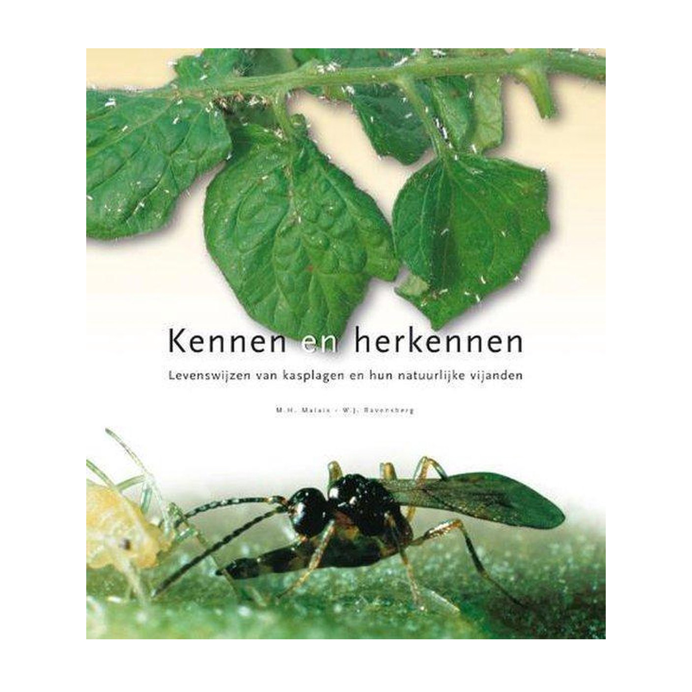 Boek Kennen & herkennen