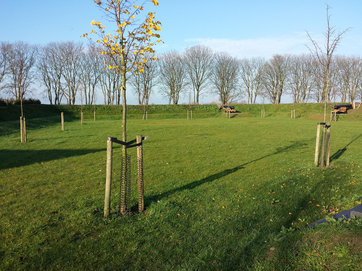 BiteProtect stambescherming