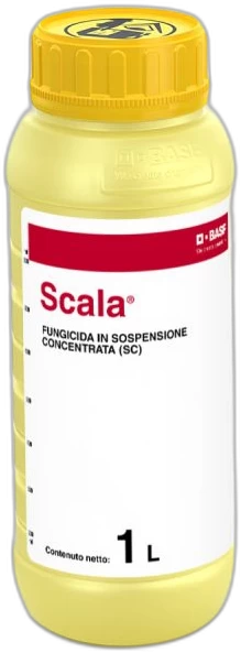 Scala