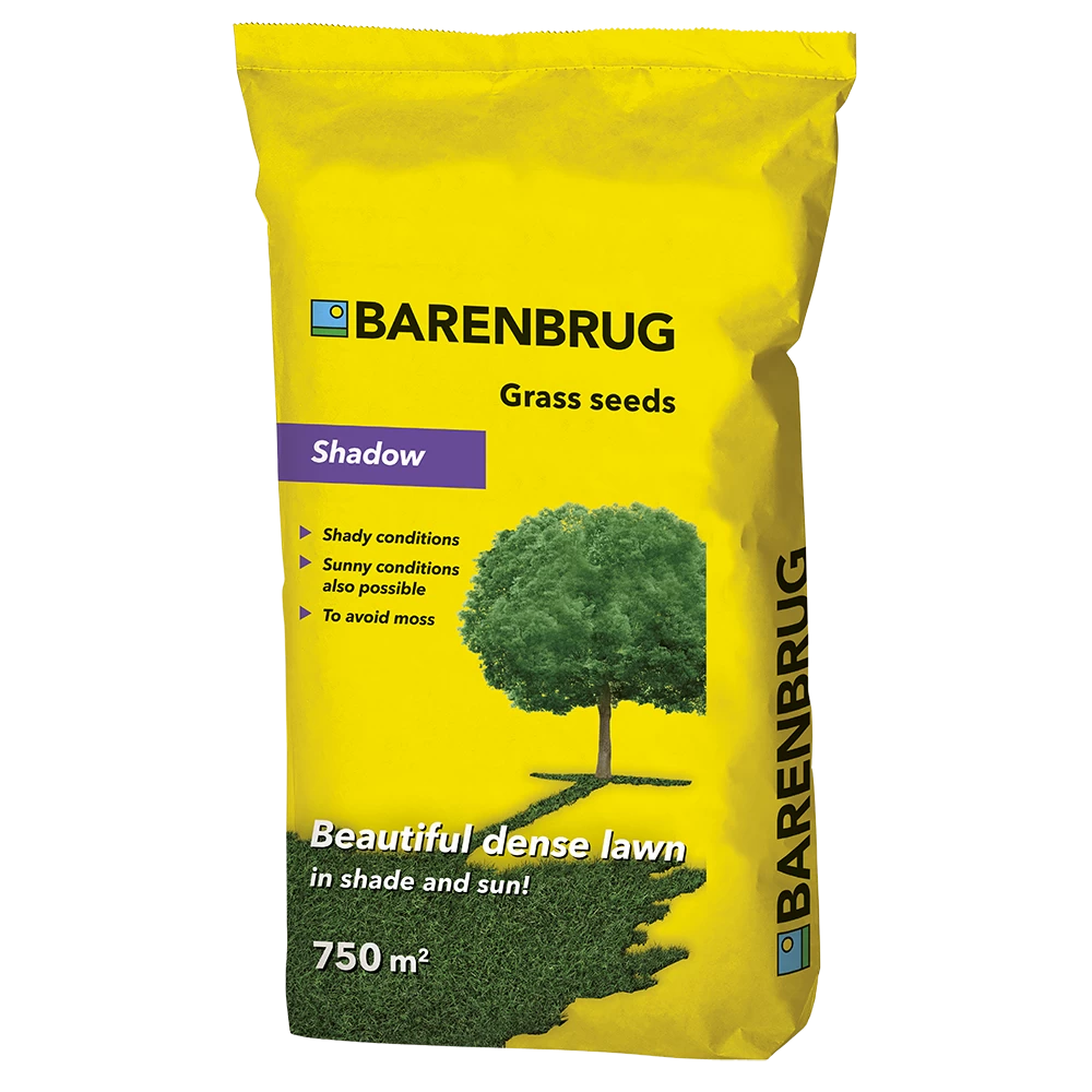 Barenbrug Shadow Vos Capelle Barenbrug Shadow Vos Capelle