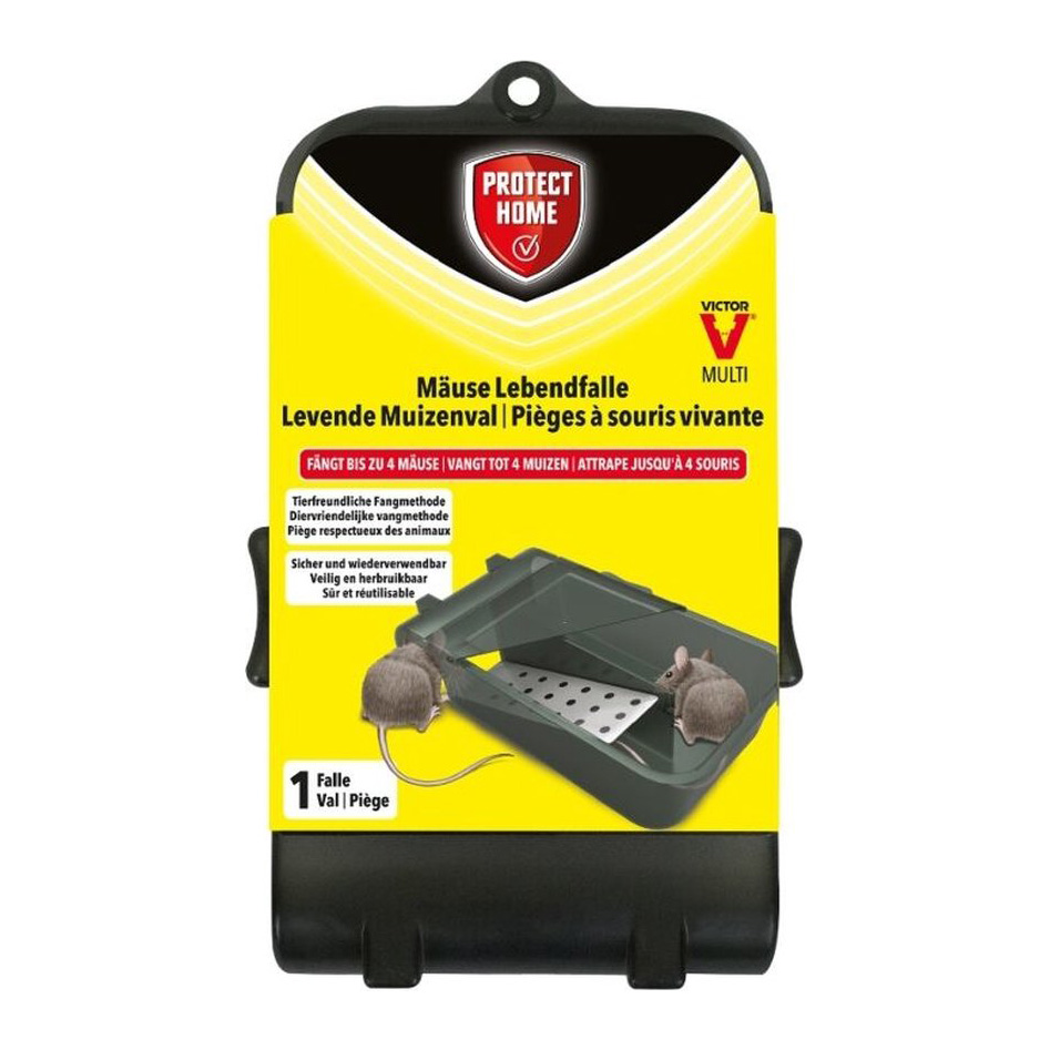 Protect Home Muizenval Catch&Hold