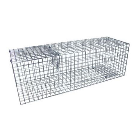 74000250_20230309142005405