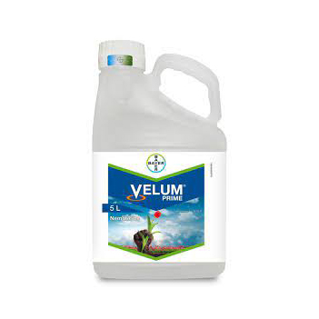 10311200_20220615182003339