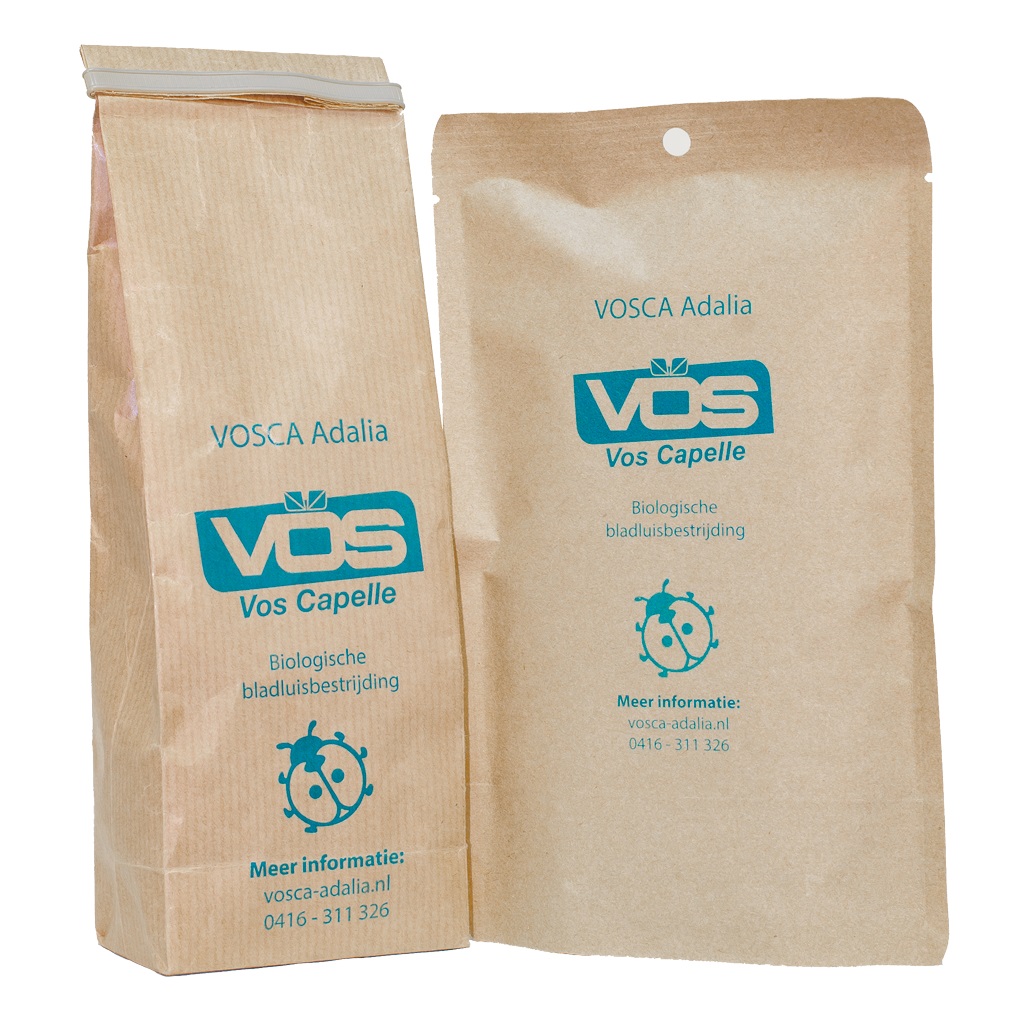VOSCA Adalia