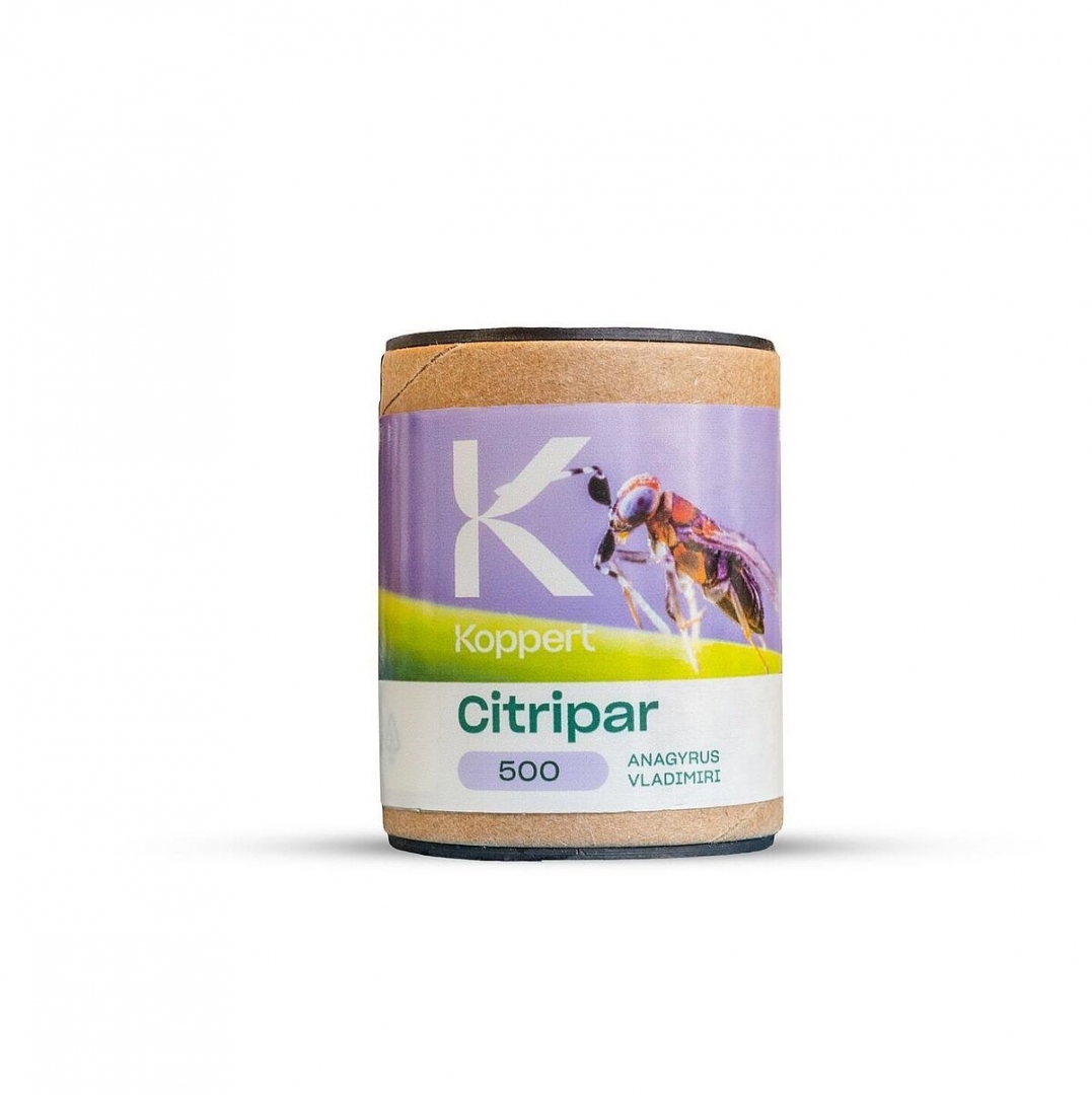 Citripar