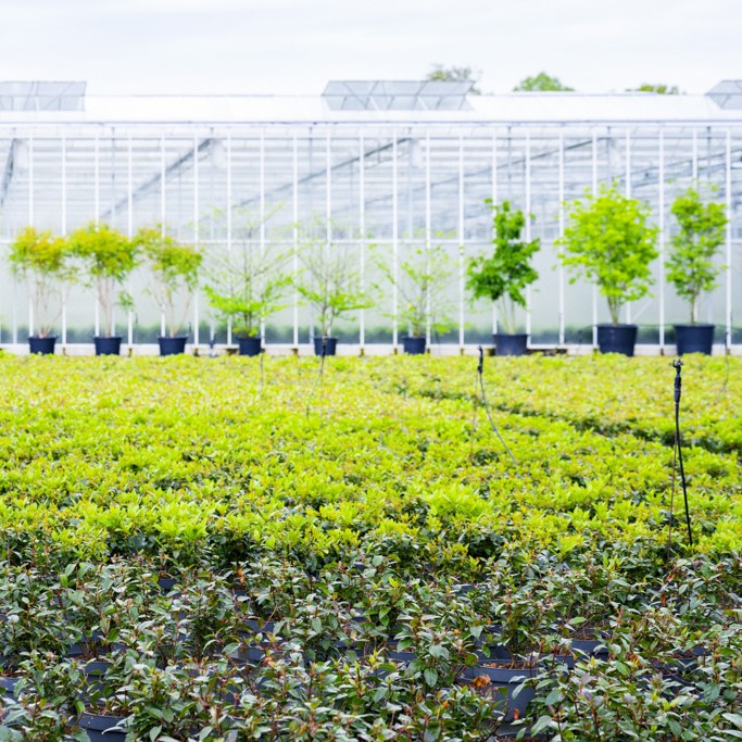 75933_01_065_20240606101119500