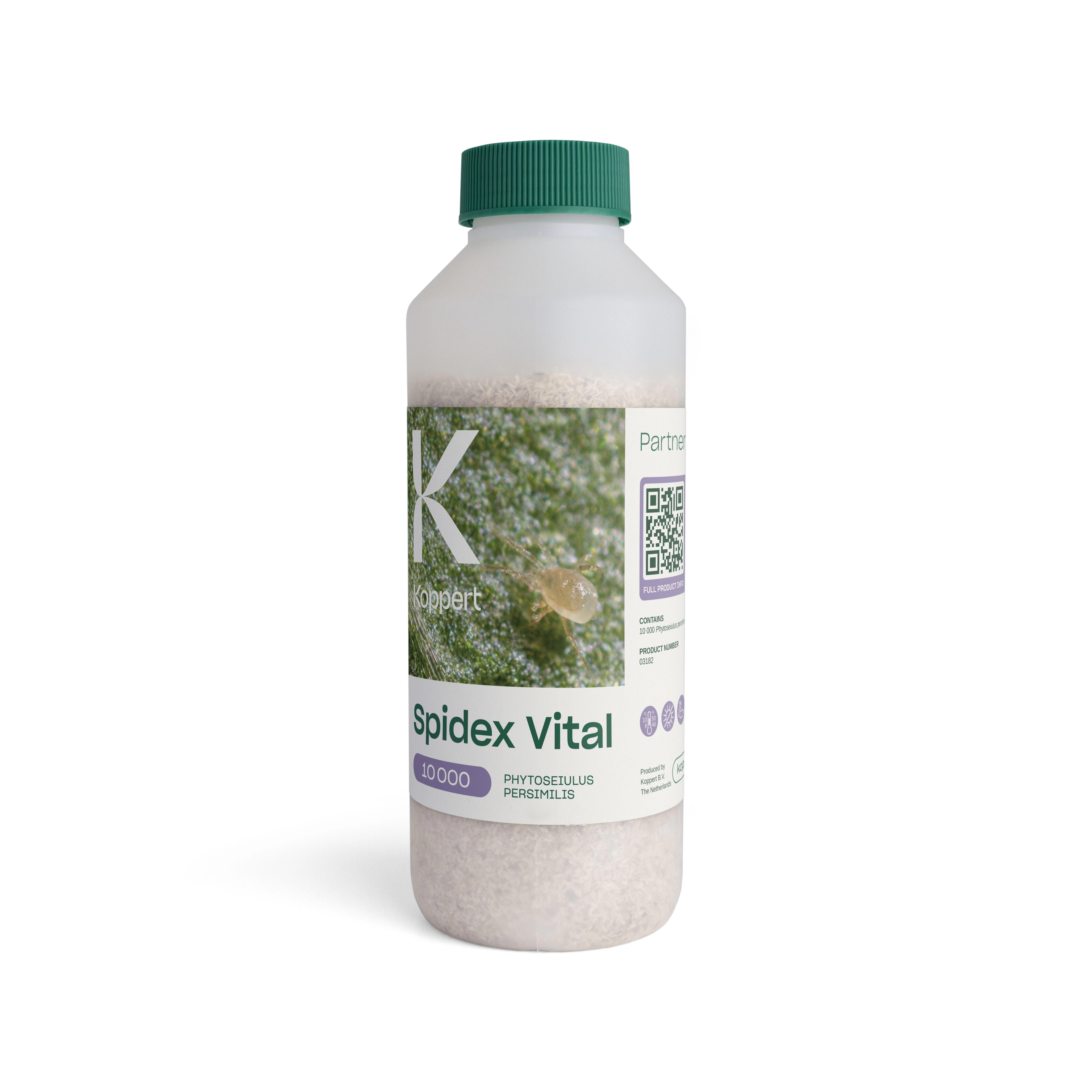 Spidex Vital