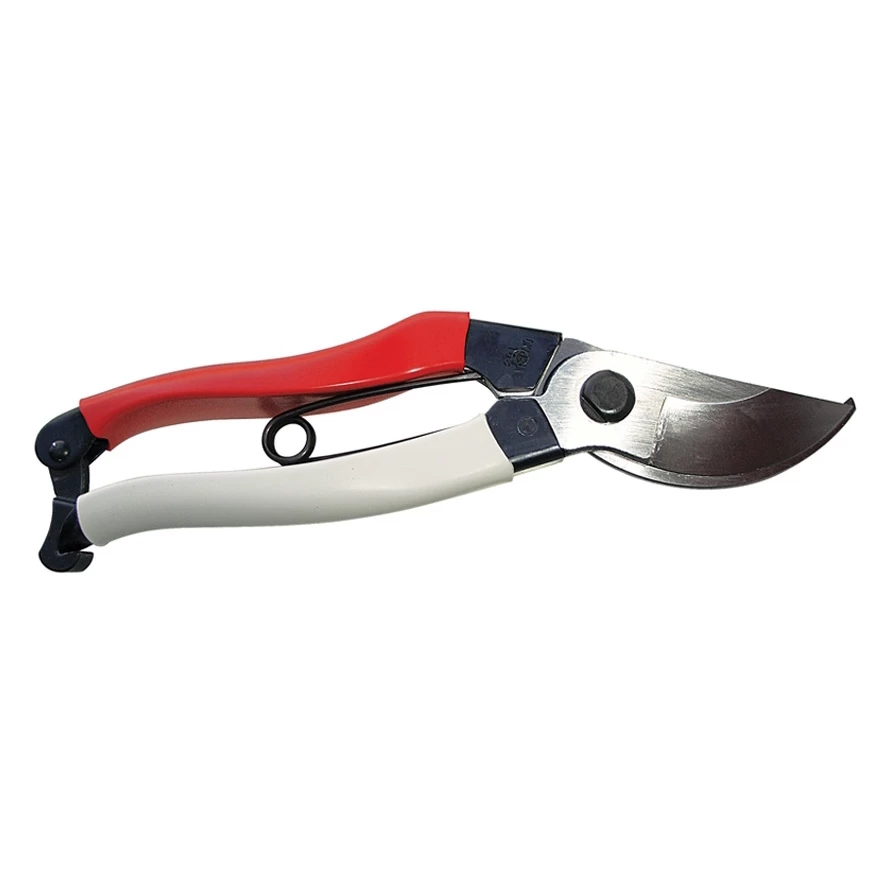 Okatsune Snoeischaar