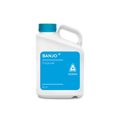 Banjo