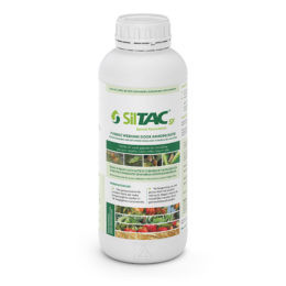 Siltac SF