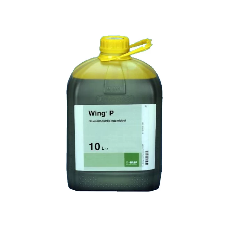 Wing P