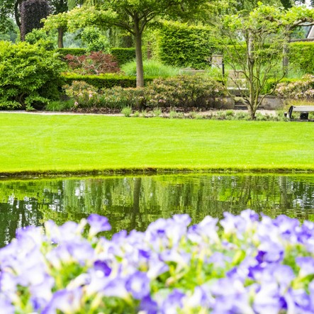 Vijvermaterialen →