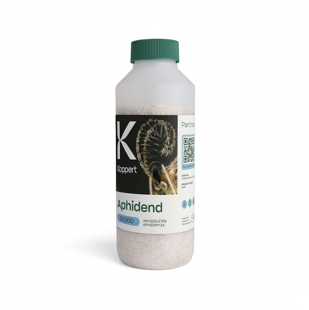 Aphidend