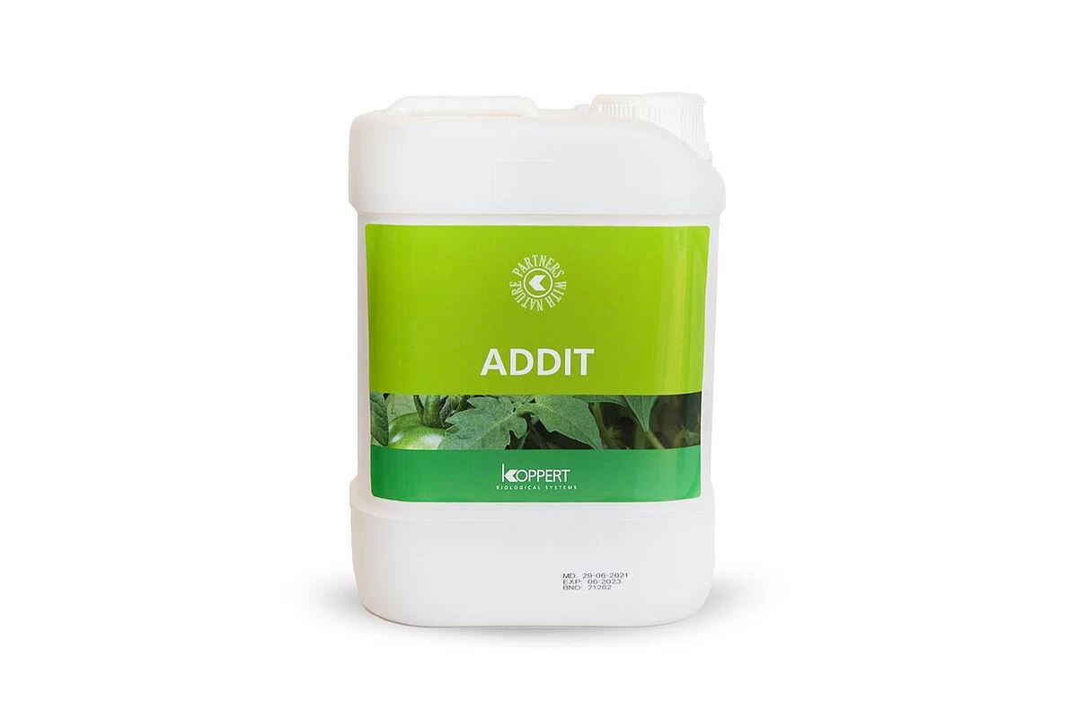 Addit
