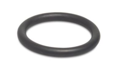 O-ring Thyleen