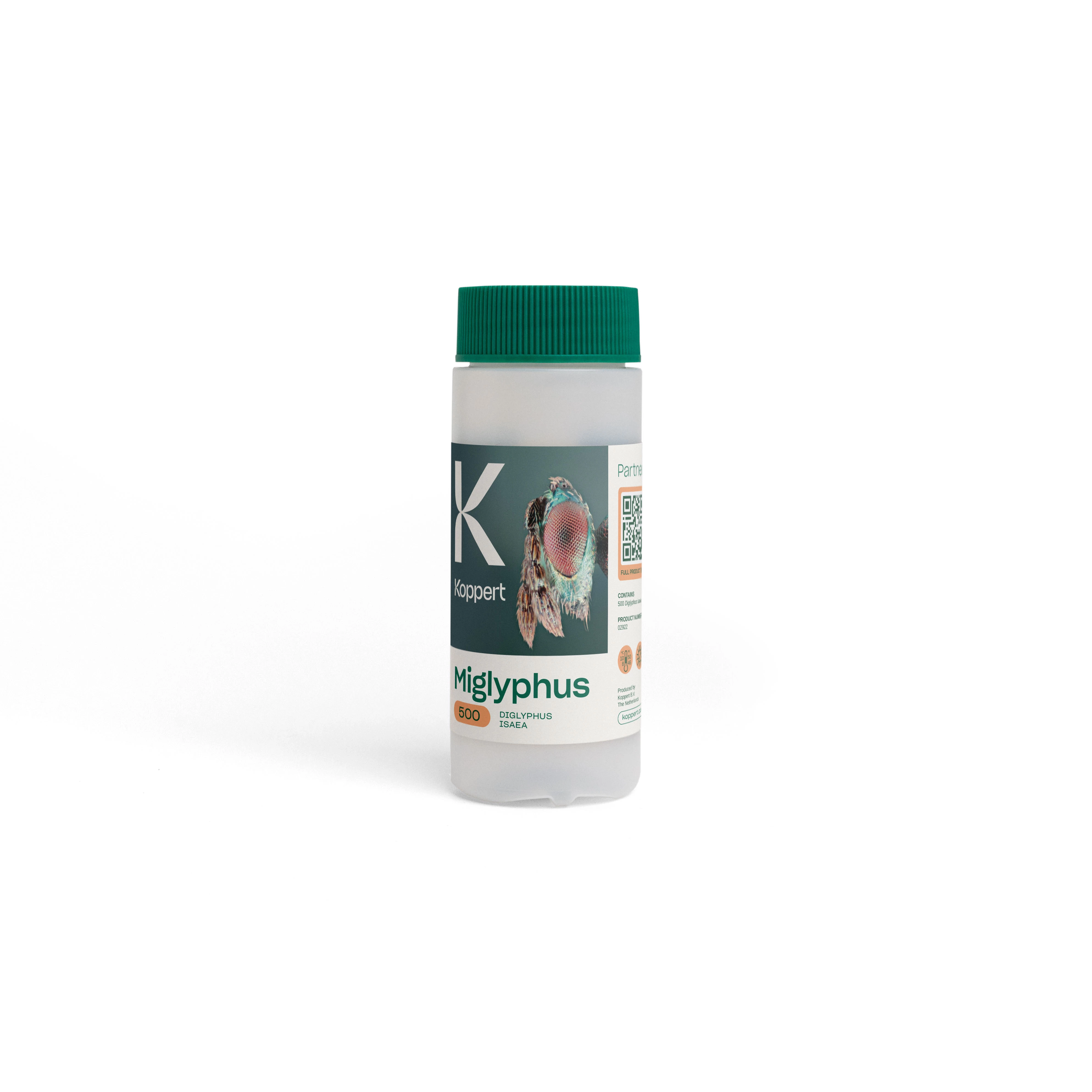 Miglyphus