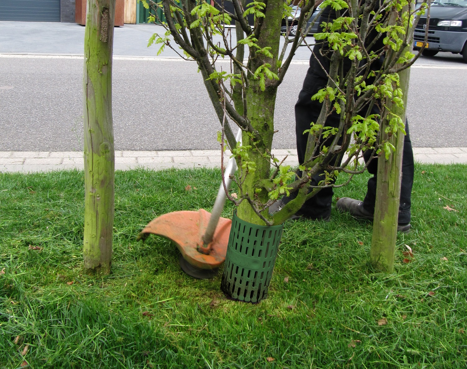 Stambescherming TreeProtect (groen/bruin/zwart)