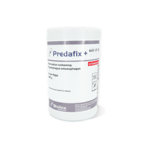 Predafix Plus