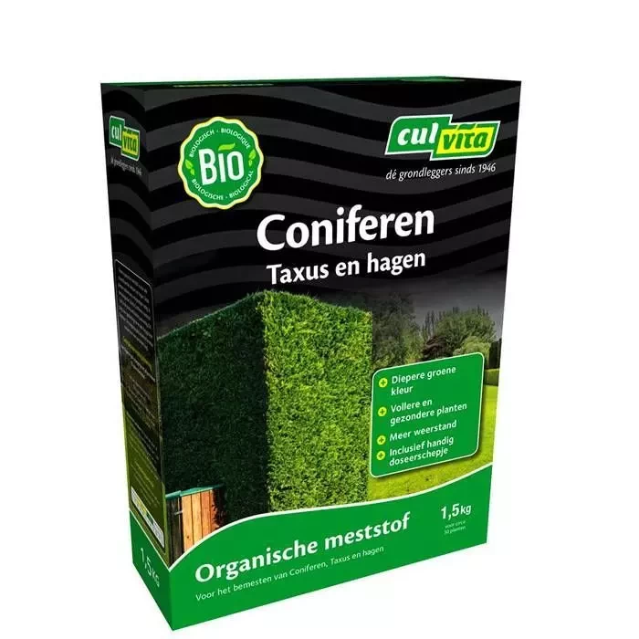 Culvita Coniferen